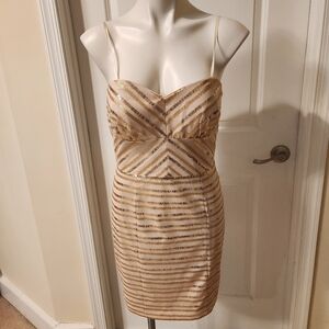 Cache Evening Dress Size 8